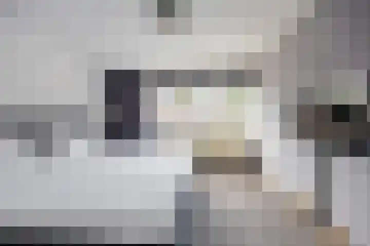 Anjelierstraat 1 Beuningen Gld thumbnail 24