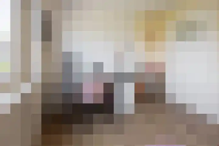 Anjelierstraat 1 Beuningen Gld thumbnail 27