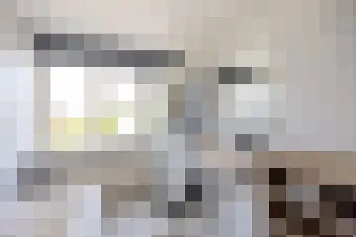 Anjelierstraat 1 Beuningen Gld thumbnail 29
