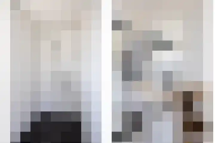 Anjelierstraat 1 Beuningen Gld thumbnail 31