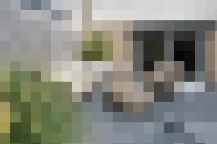 Anjelierstraat 1 Beuningen Gld thumbnail 32