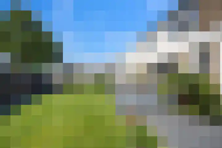 Anjelierstraat 1 Beuningen Gld thumbnail 36