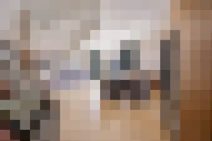 Anjelierstraat 1 Beuningen Gld thumbnail 8