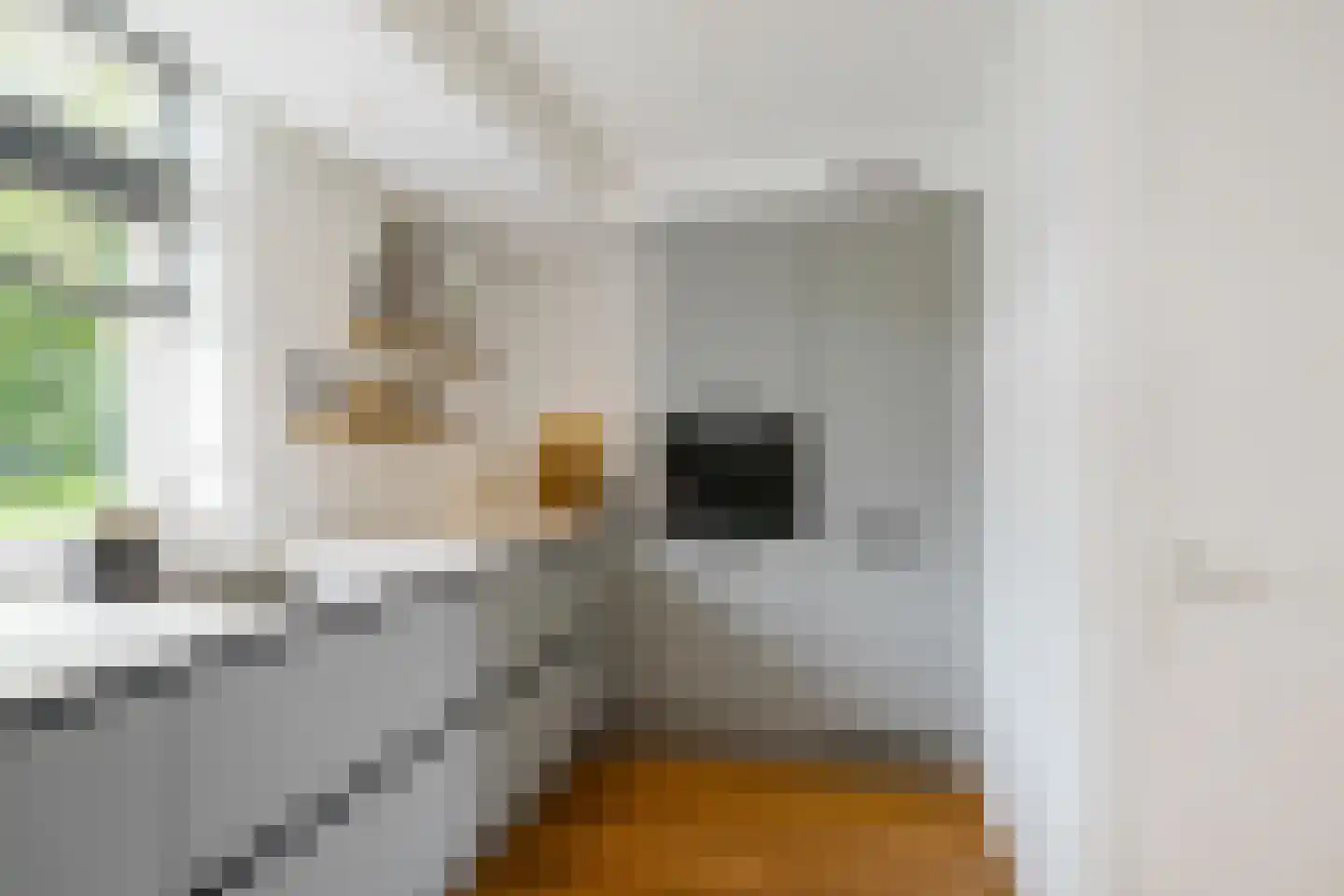 Anjelierstraat 1 Groningen thumbnail 13