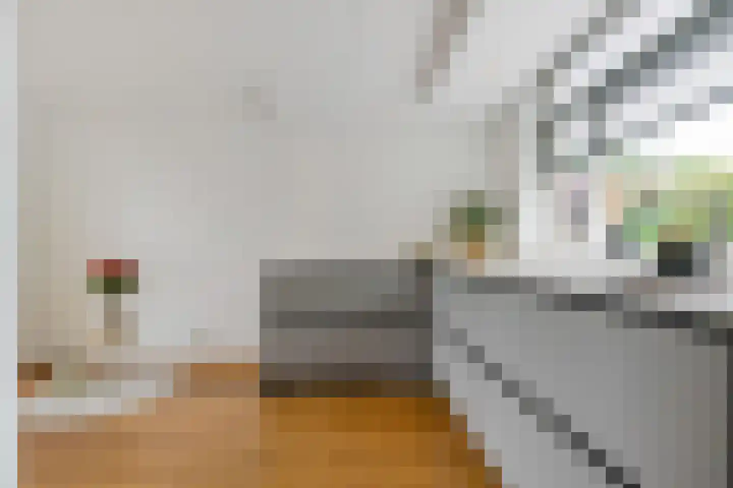 Anjelierstraat 1 Groningen thumbnail 15