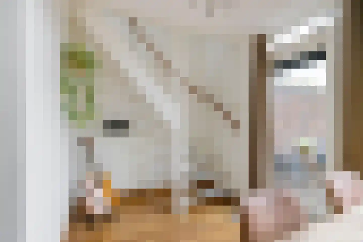 Anjelierstraat 1 Groningen thumbnail 21