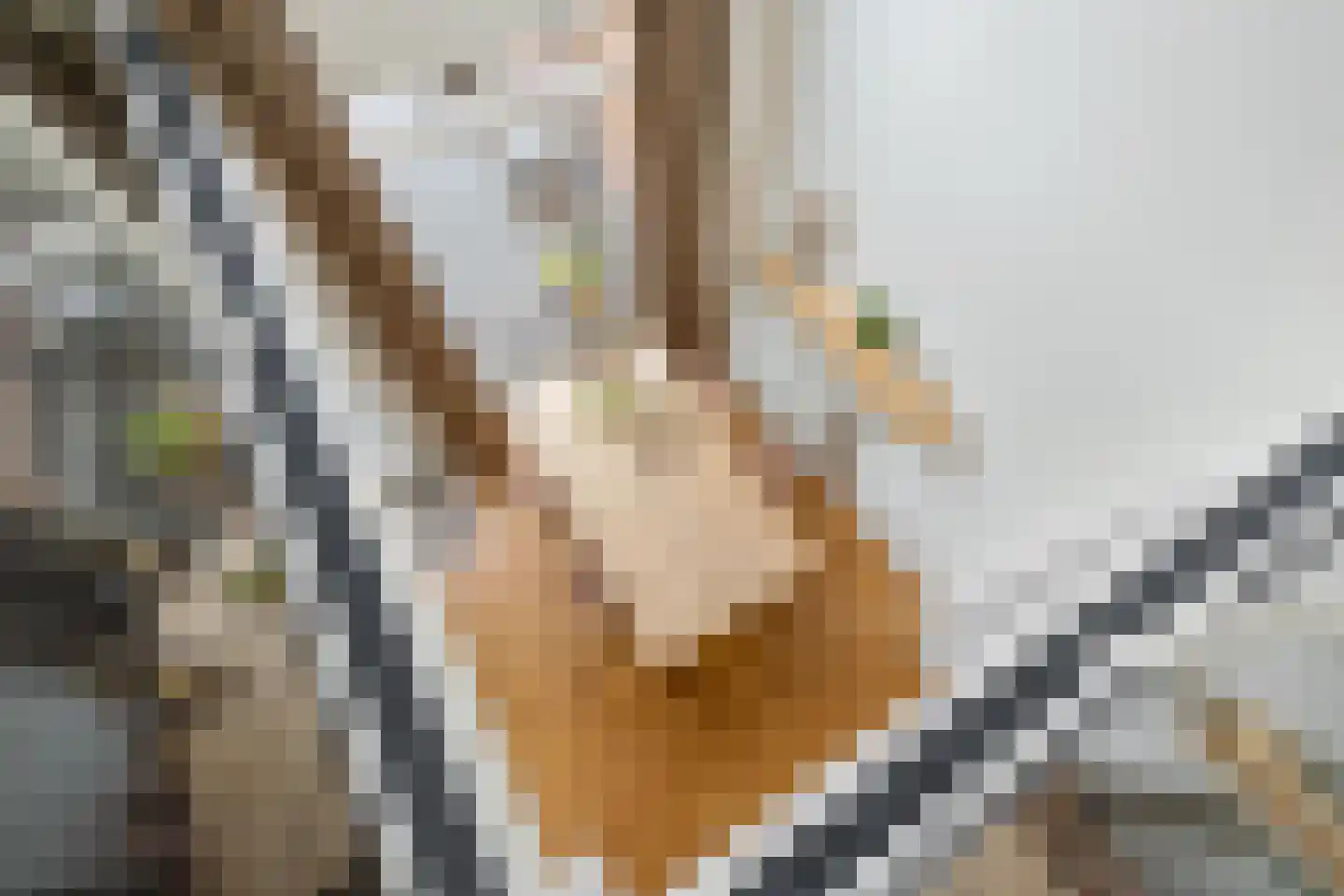 Anjelierstraat 1 Groningen thumbnail 23