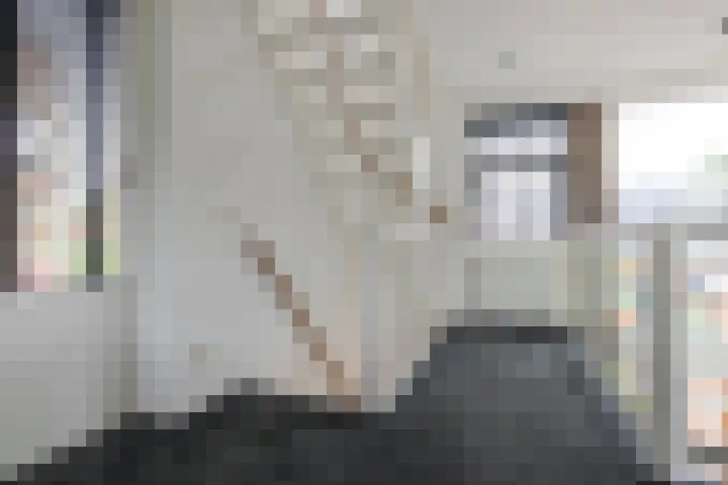 Anjelierstraat 1 Groningen thumbnail 27