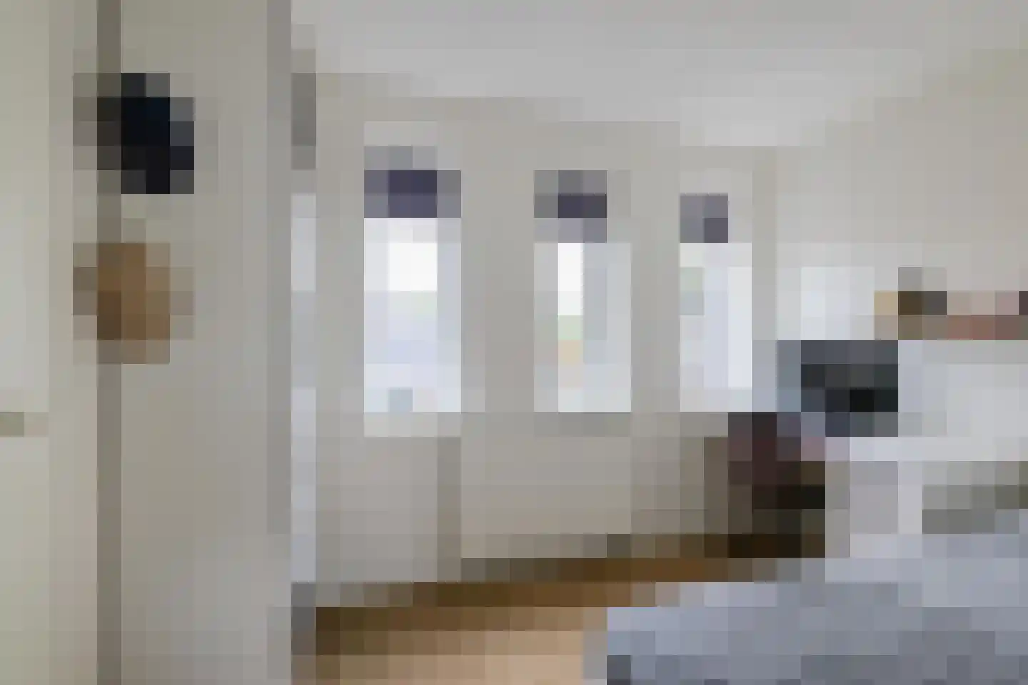 Anjelierstraat 1 Groningen thumbnail 29