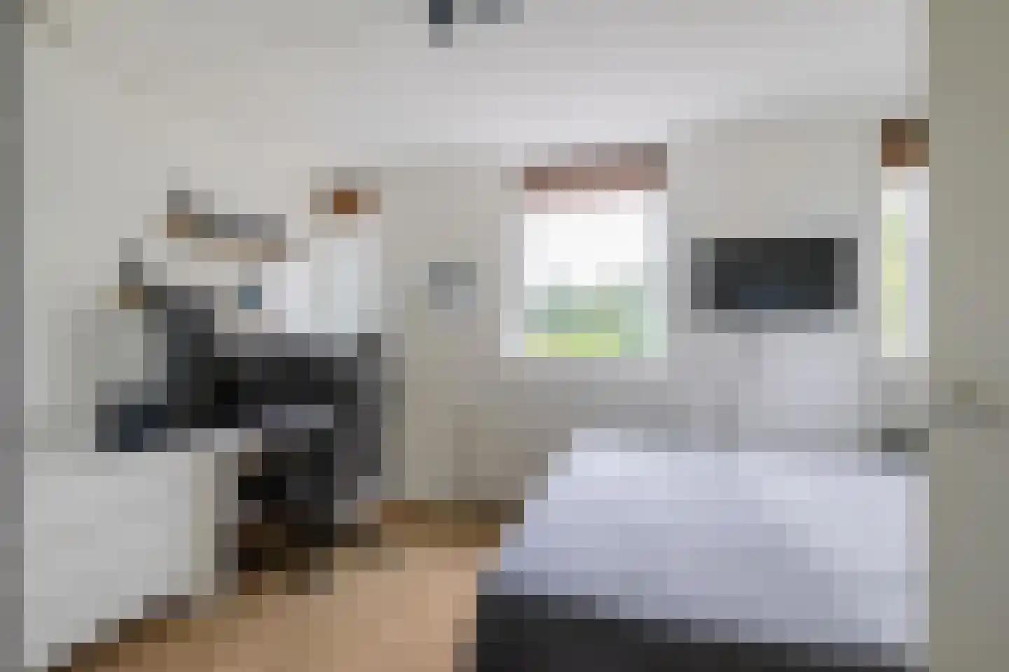 Anjelierstraat 1 Groningen thumbnail 31