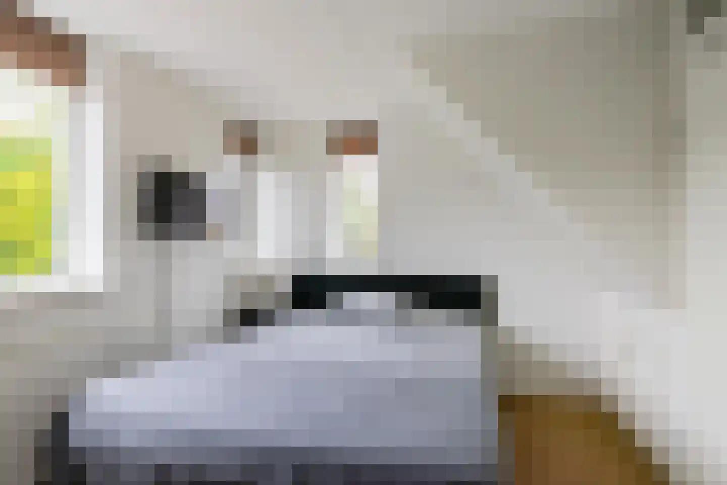 Anjelierstraat 1 Groningen thumbnail 33