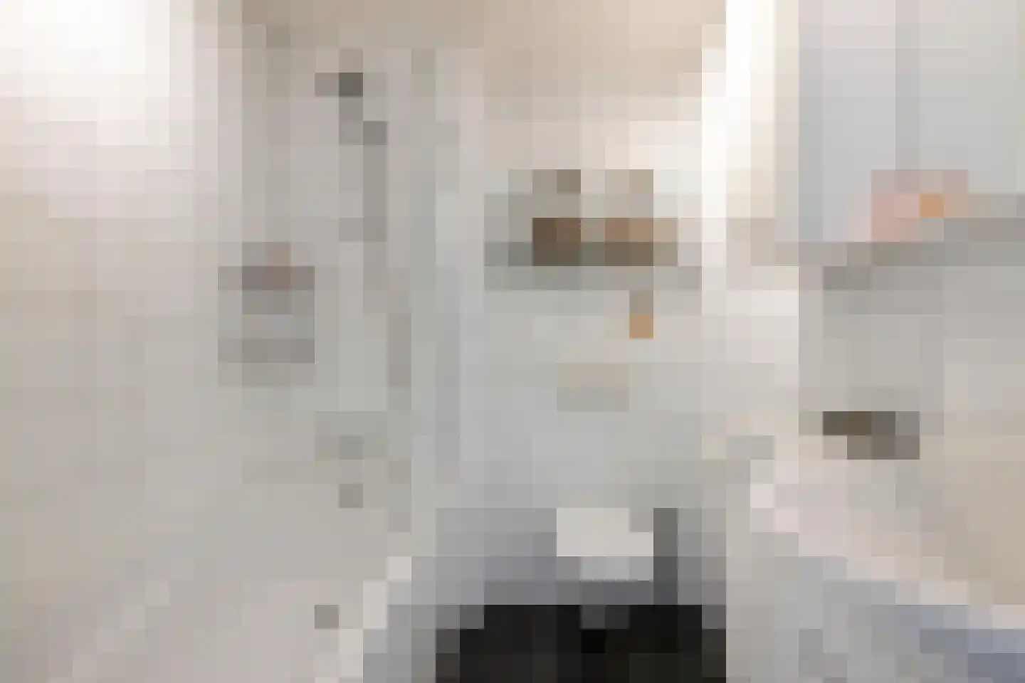 Anjelierstraat 1 Groningen thumbnail 34