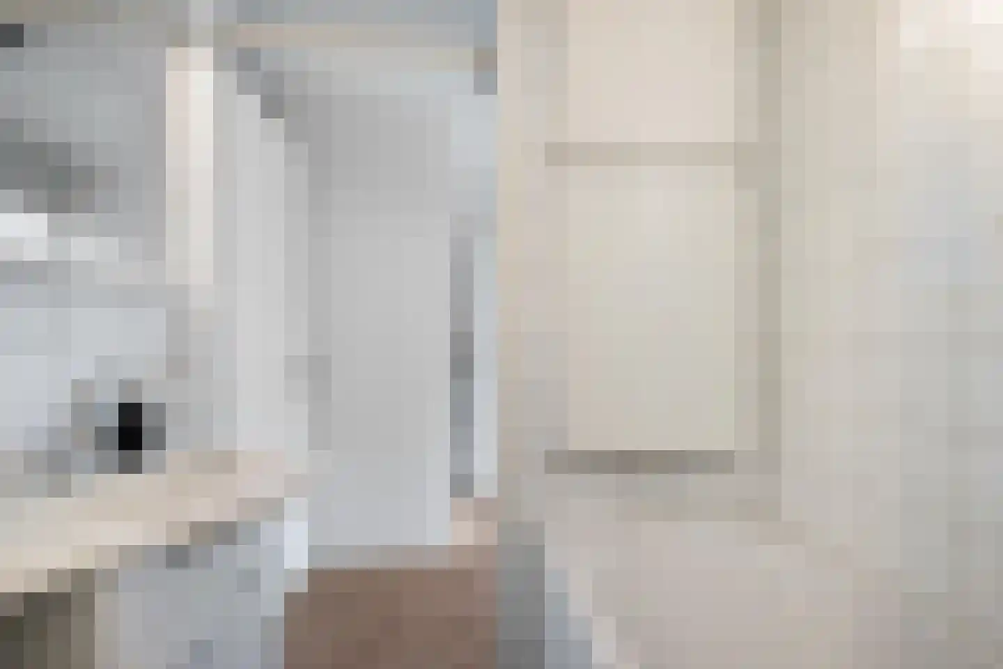 Anjelierstraat 1 Groningen thumbnail 35