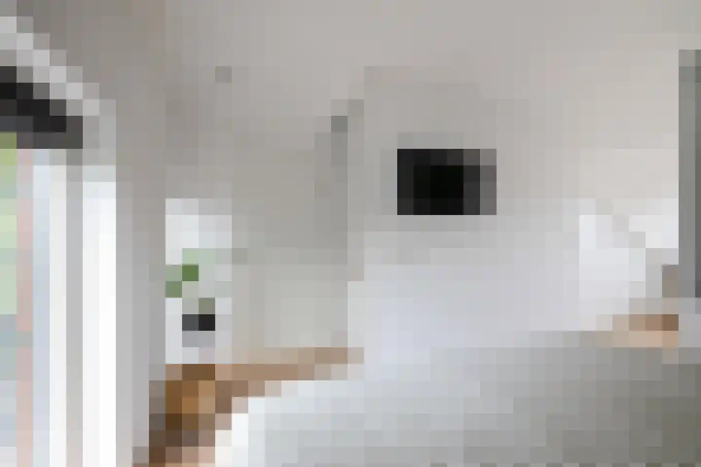 Anjelierstraat 1 Groningen thumbnail 37