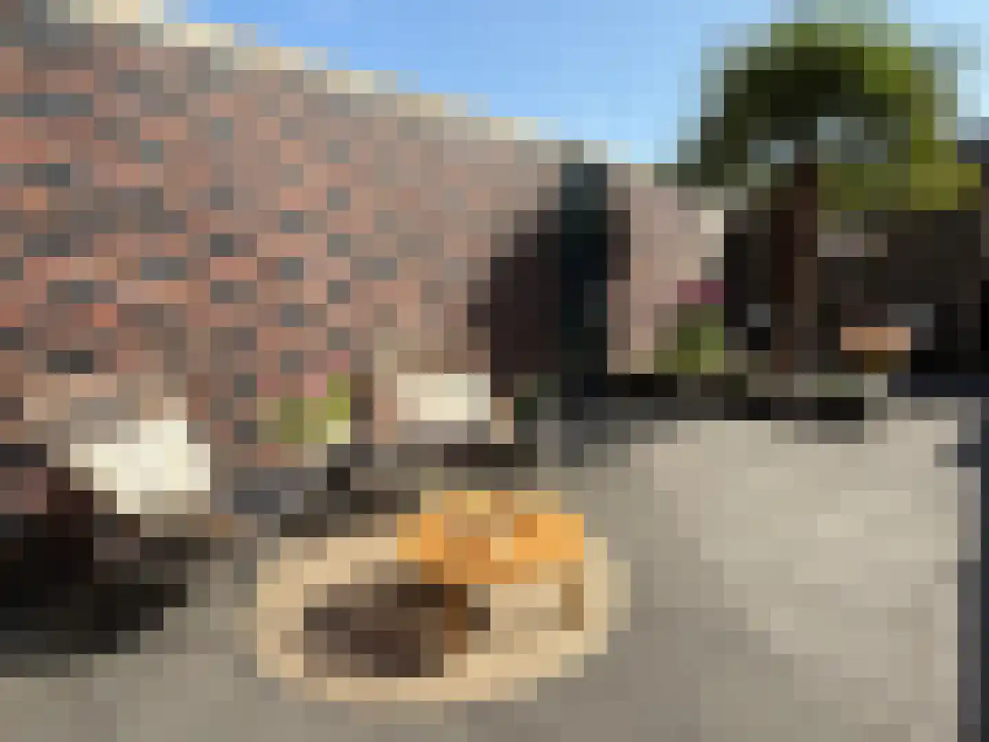 Anjelierstraat 1 Groningen thumbnail 49