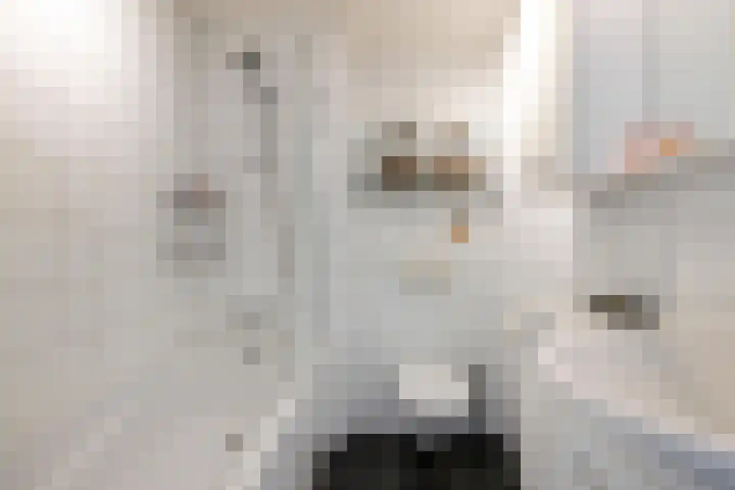 Anjelierstraat 1 Groningen thumbnail 5