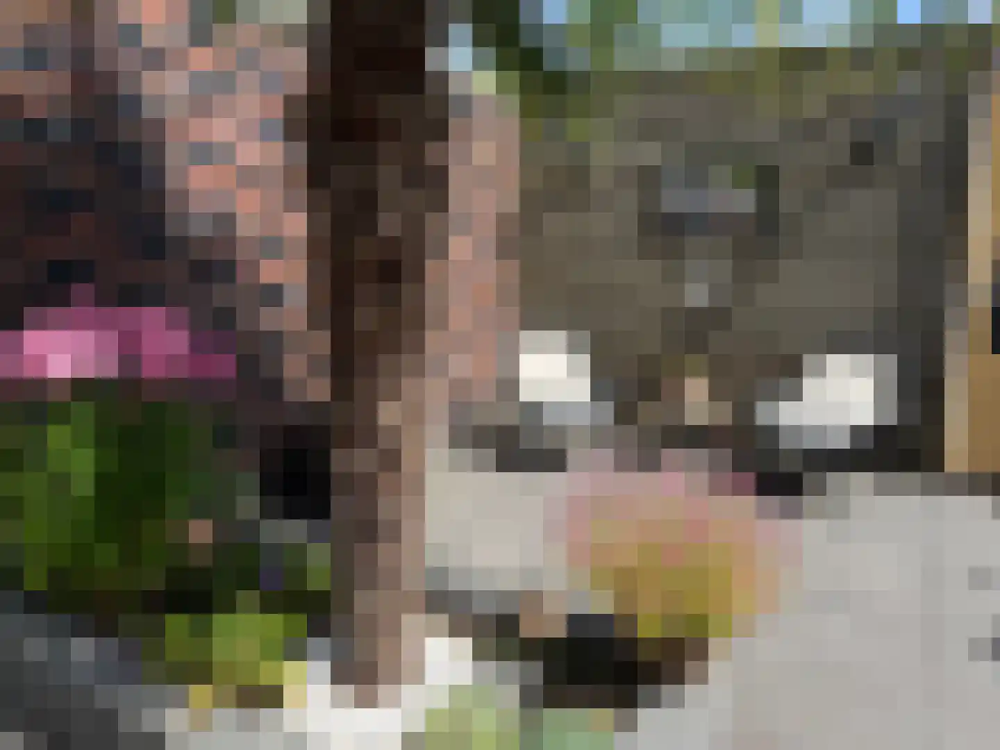 Anjelierstraat 1 Groningen thumbnail 50