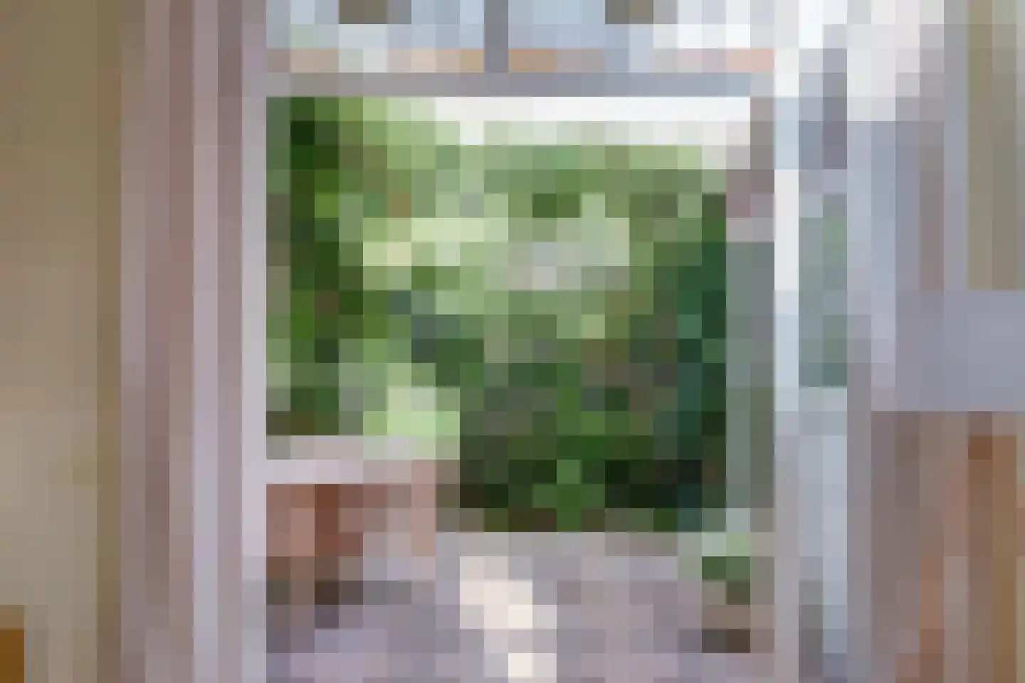 Anjelierstraat 10 Almelo thumbnail 22