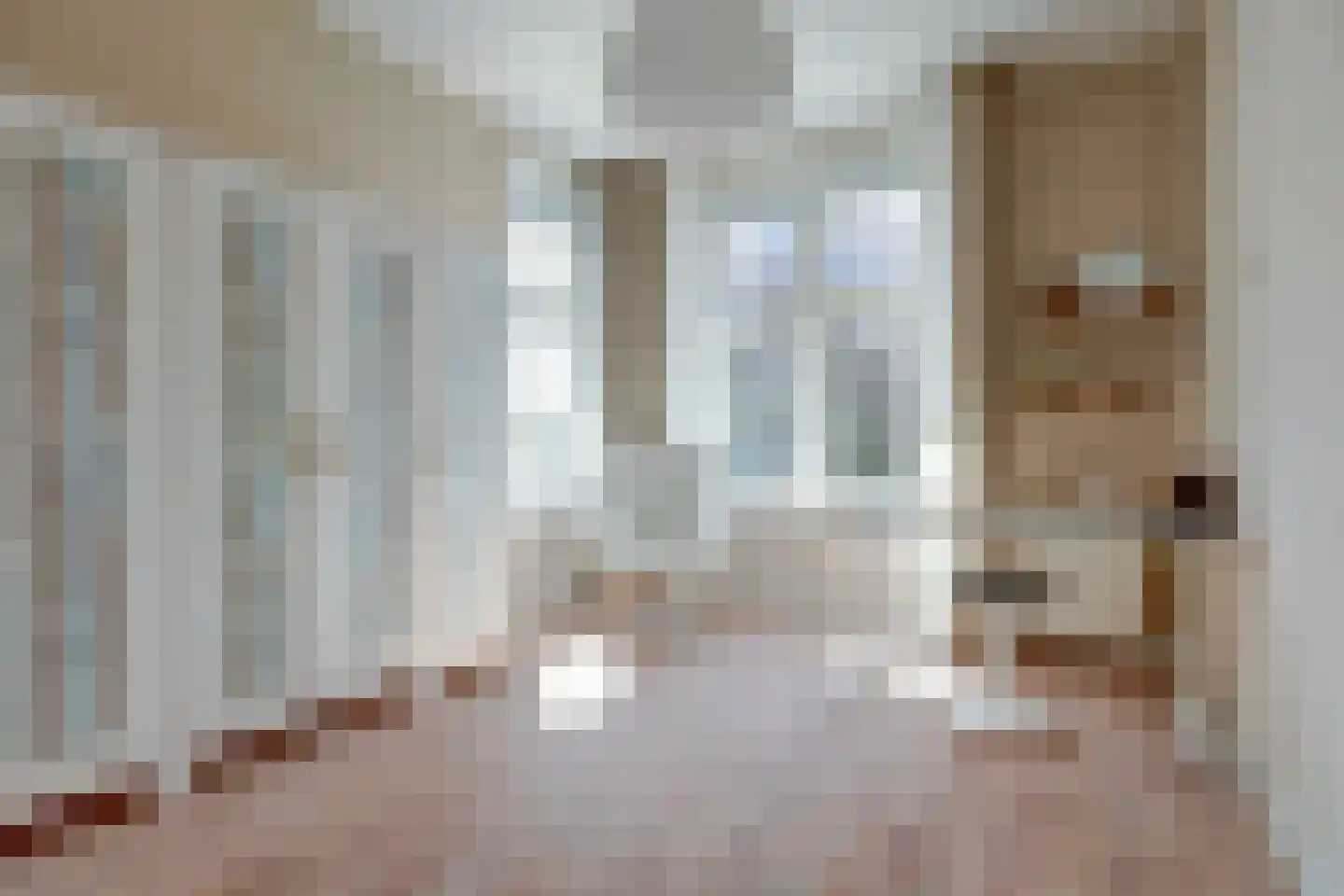 Anjelierstraat 10 Almelo thumbnail 36