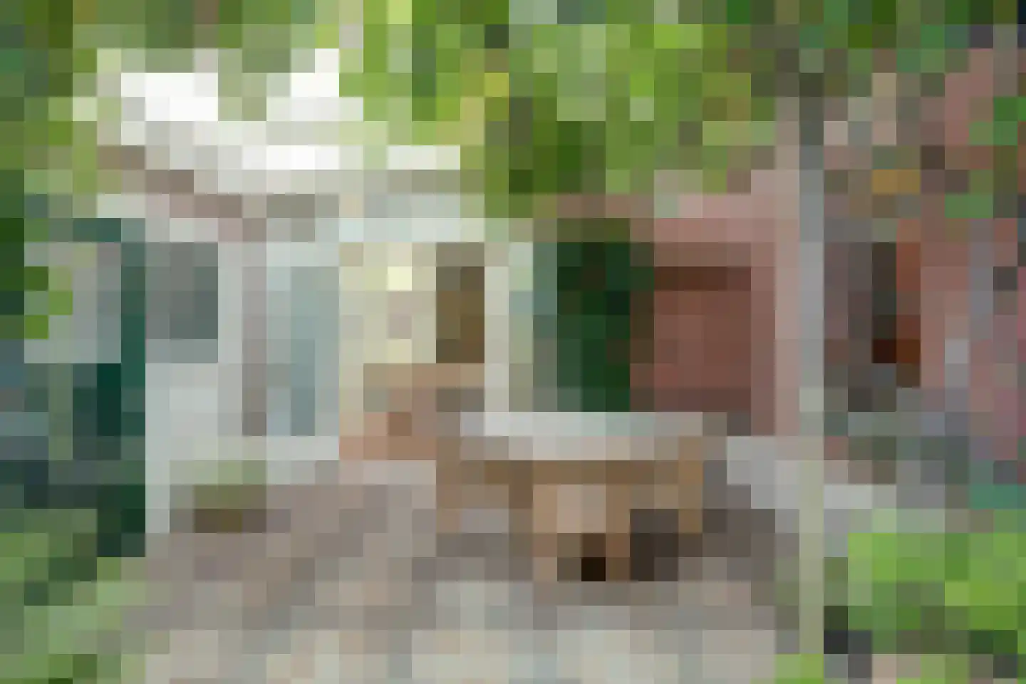 Anjelierstraat 10 Almelo thumbnail 51