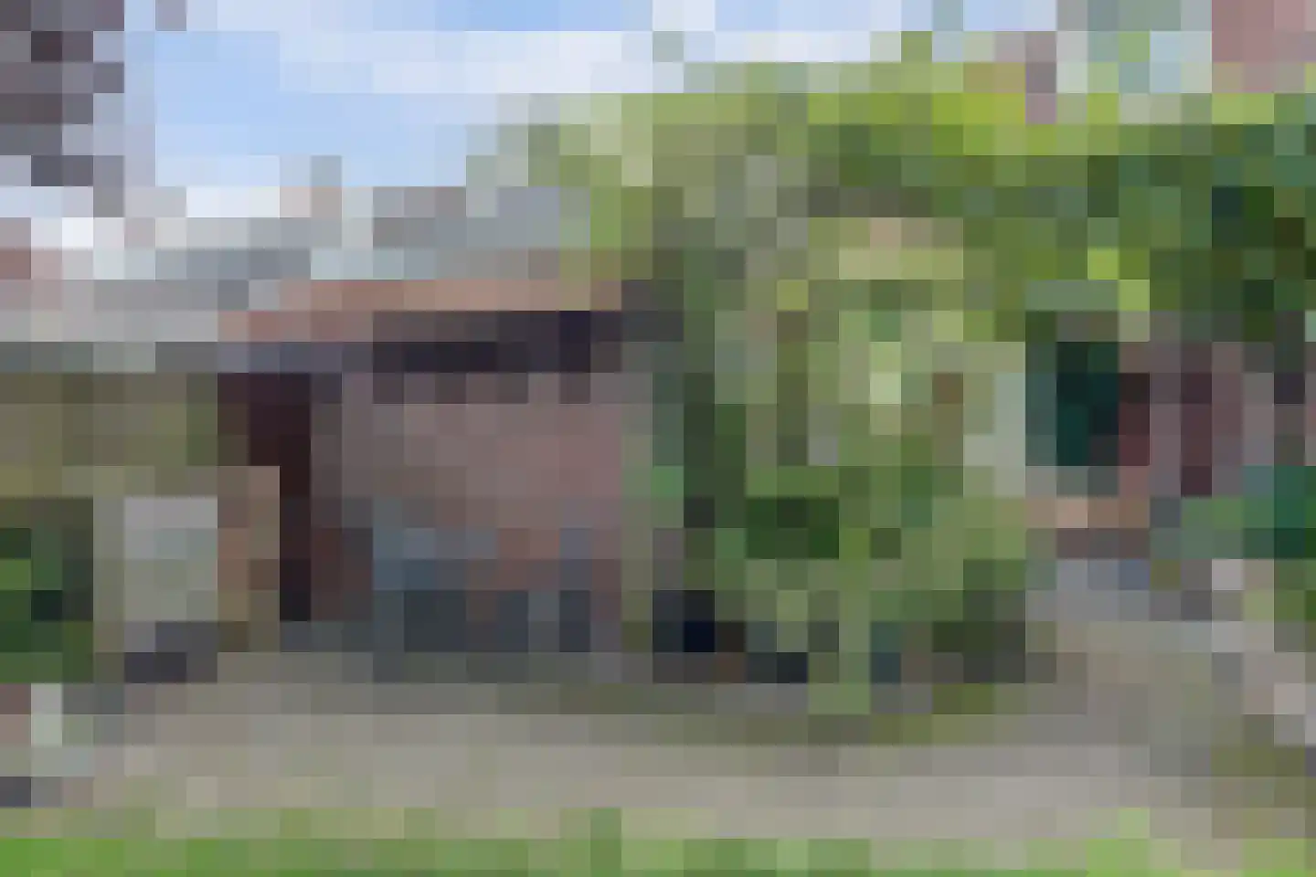 Anjelierstraat 10 Almelo thumbnail 55