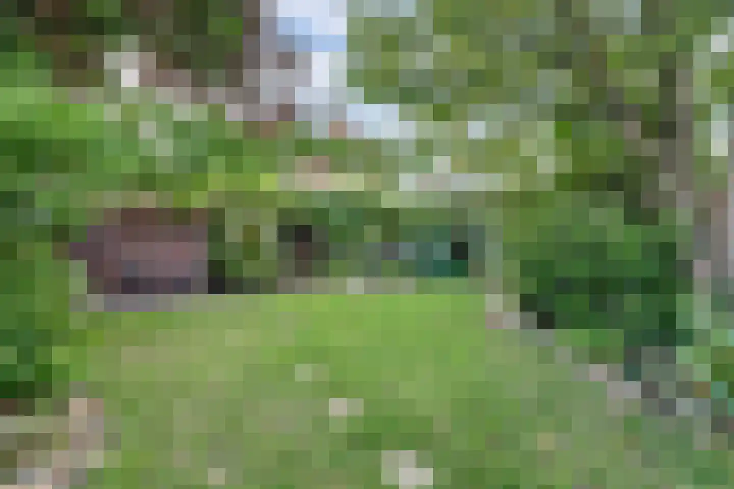 Anjelierstraat 10 Almelo thumbnail 56