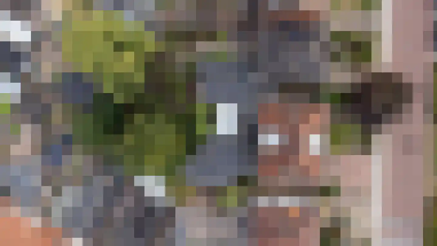 Anjelierstraat 10 Almelo thumbnail 64