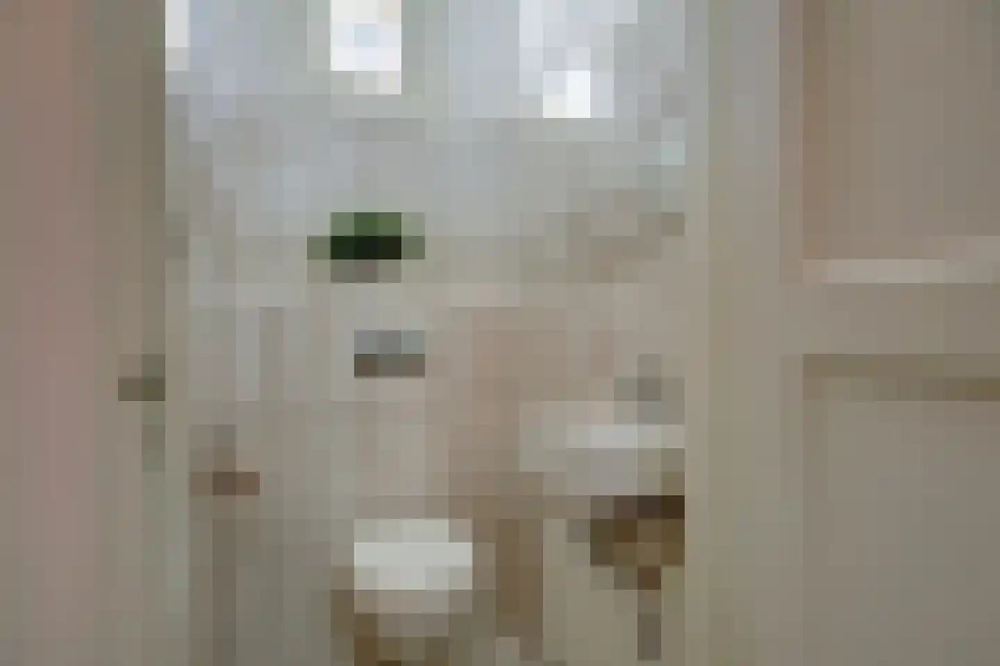 Anjelierstraat 10 Almelo thumbnail 8