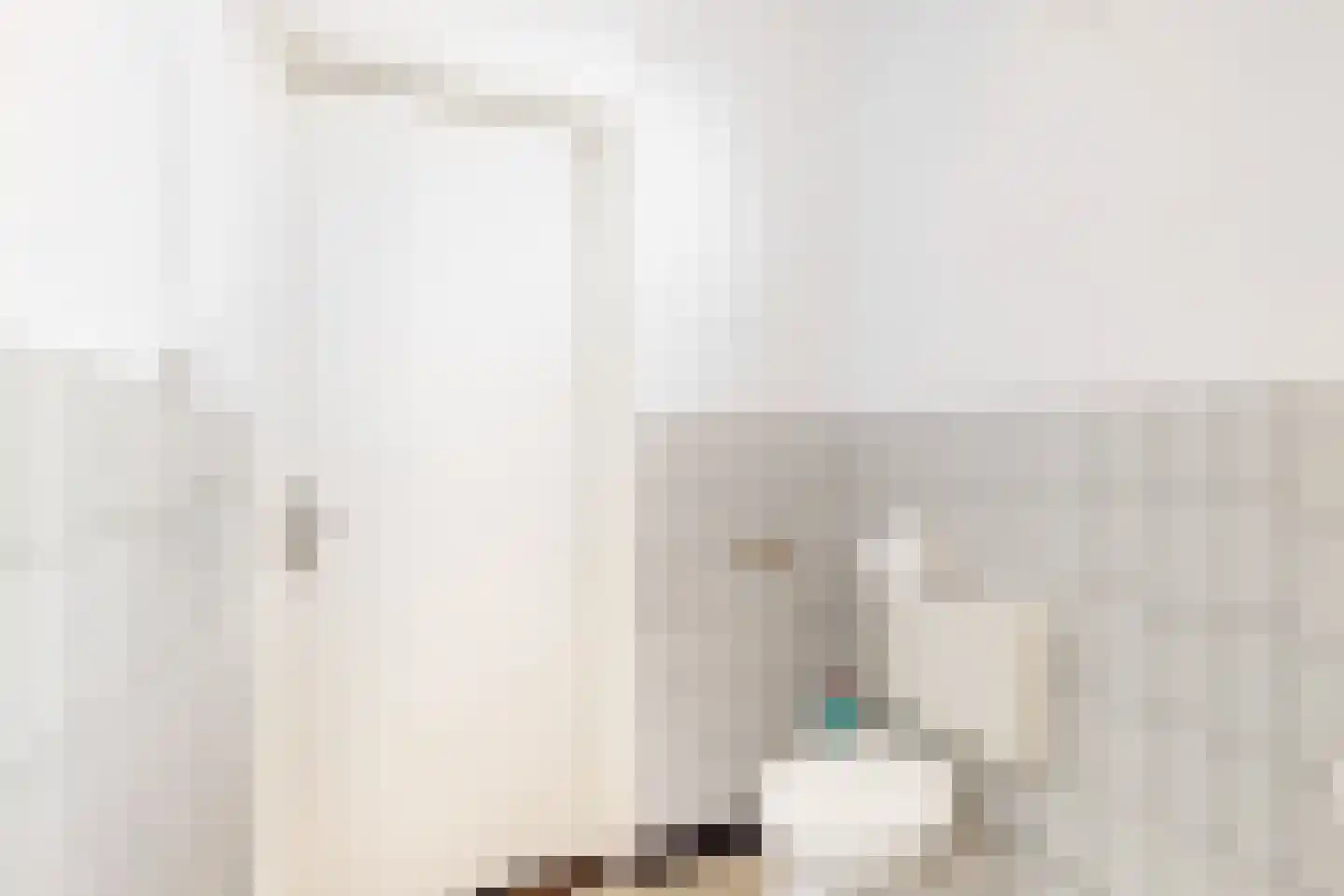 Anjelierstraat 10 Geleen thumbnail 11
