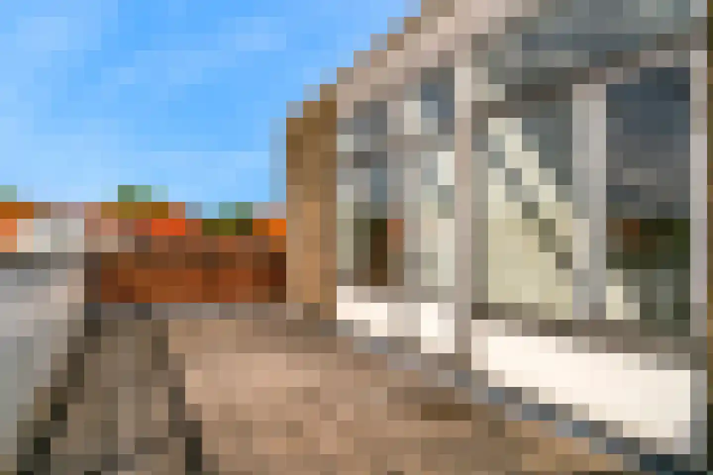 Anjelierstraat 10 Geleen thumbnail 32