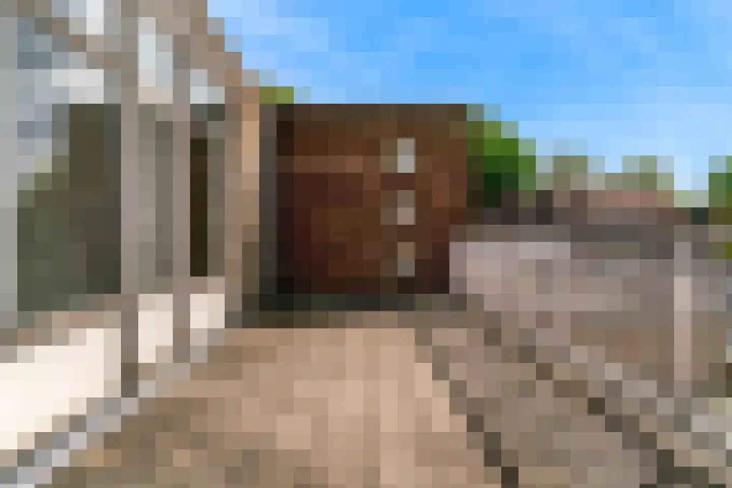 Anjelierstraat 10 Geleen thumbnail 33