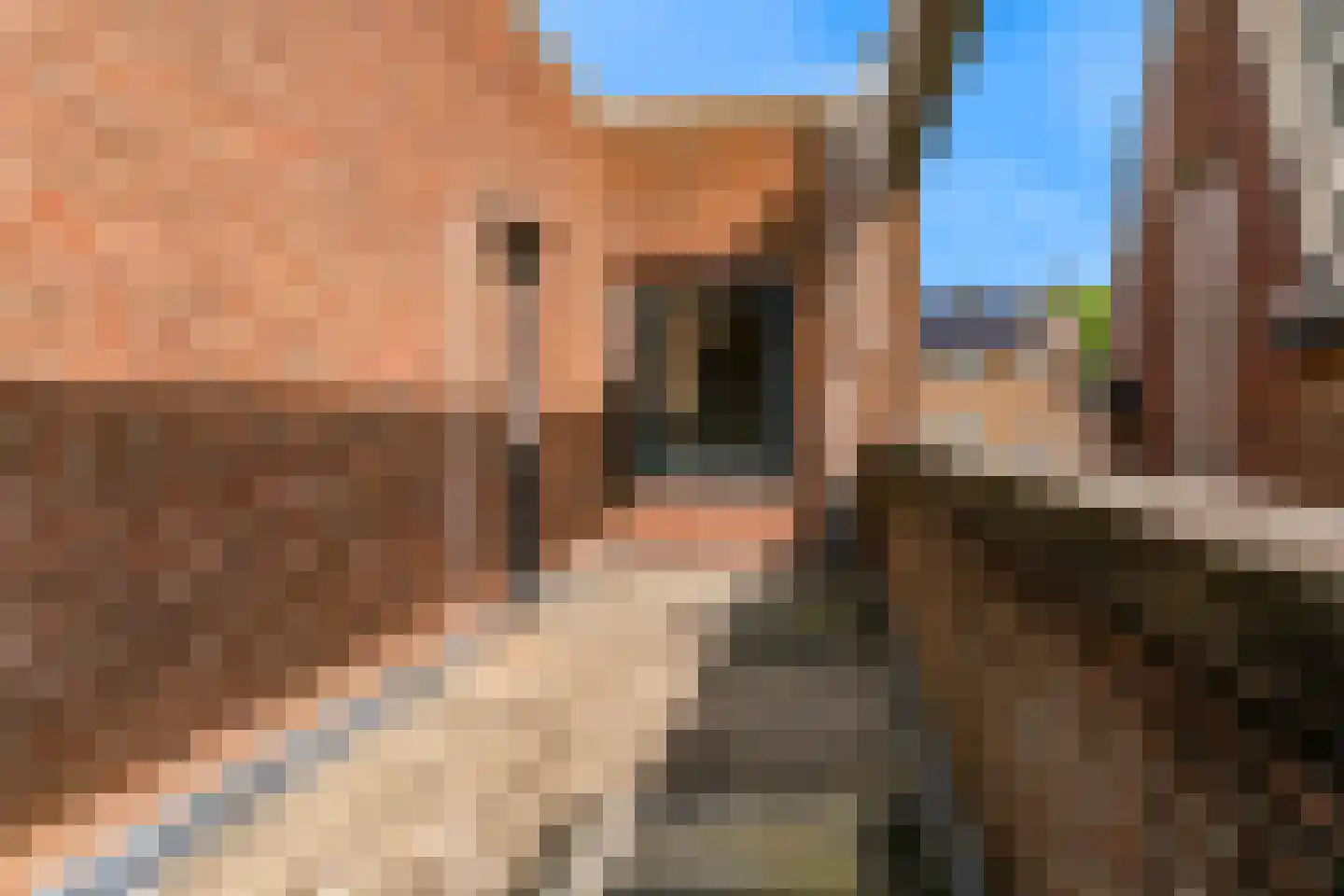 Anjelierstraat 10 Geleen thumbnail 36