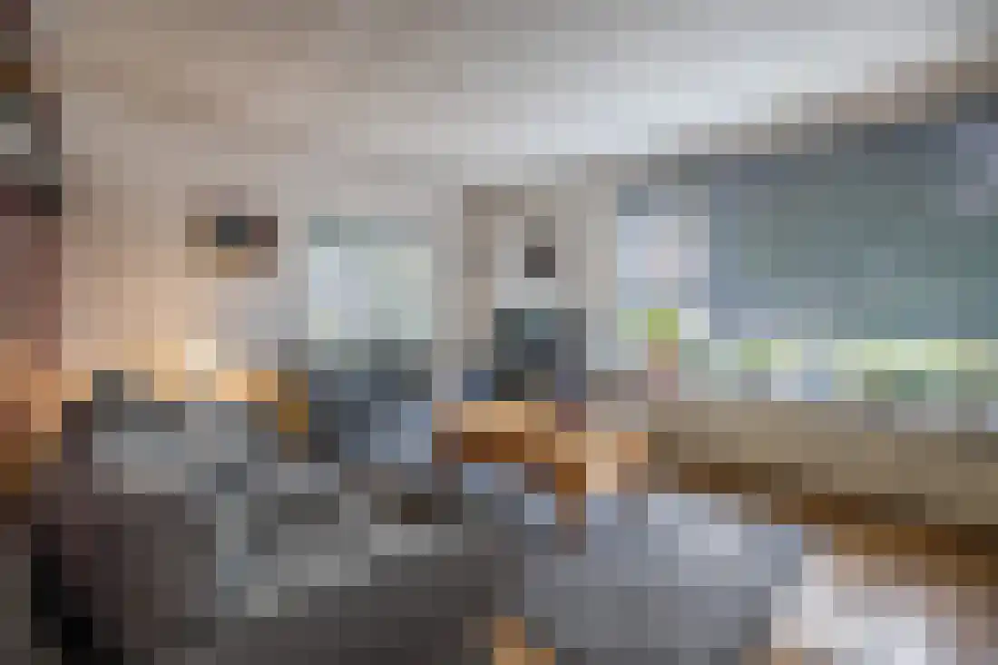 Anjelierstraat 10 Wierden thumbnail 12