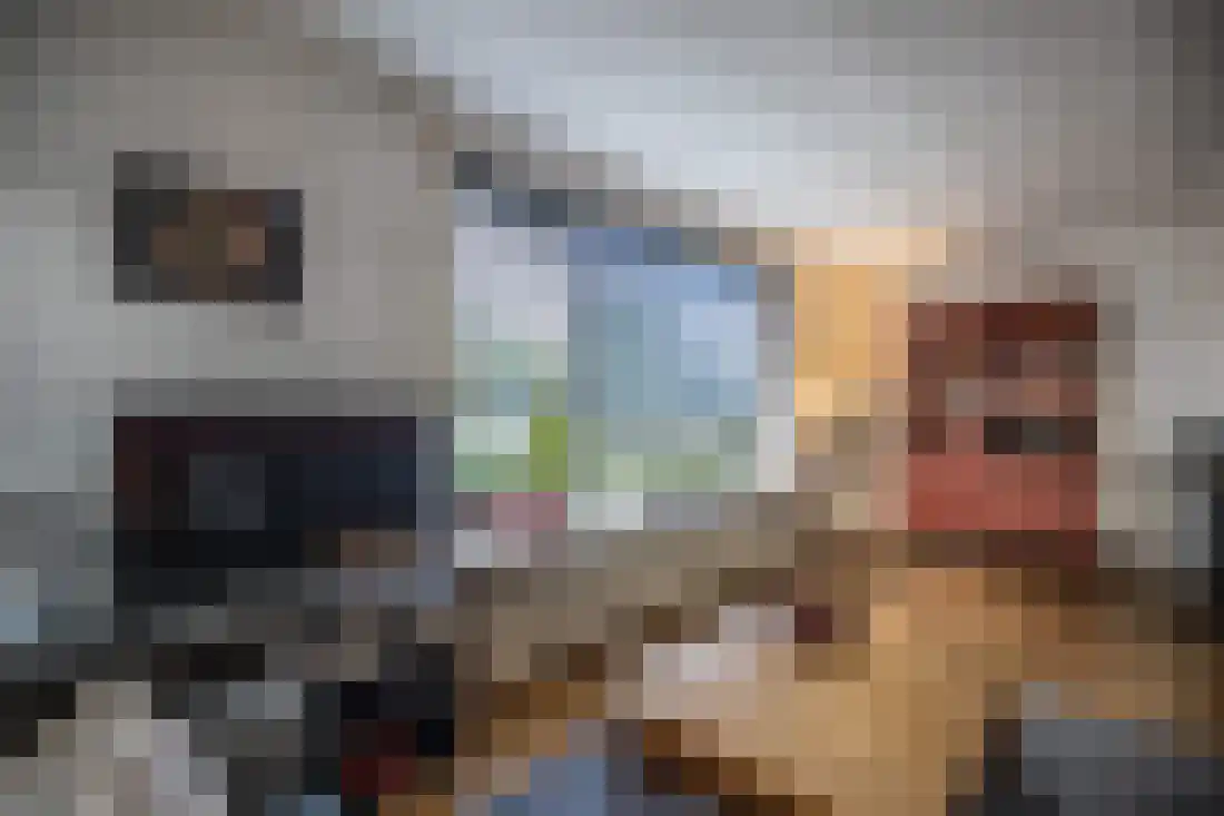 Anjelierstraat 10 Wierden thumbnail 14