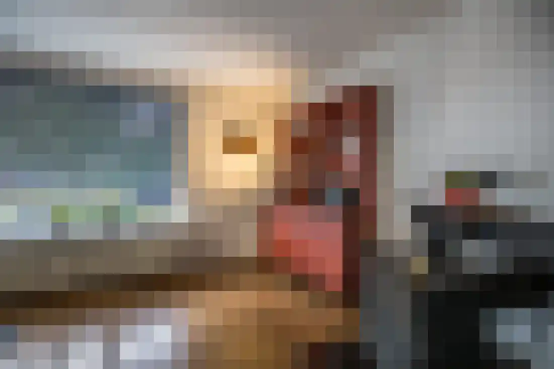 Anjelierstraat 10 Wierden thumbnail 15