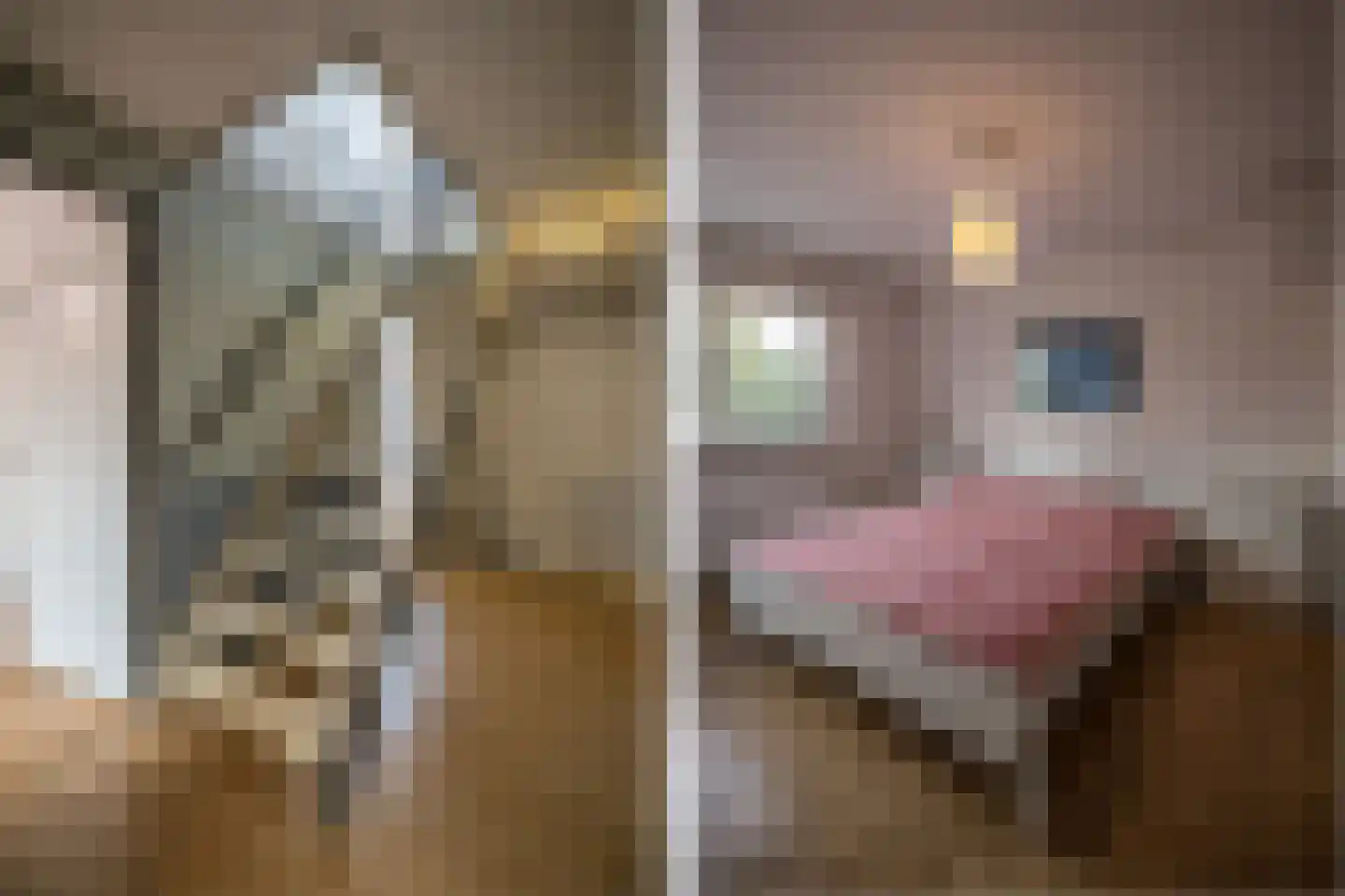 Anjelierstraat 10 Wierden thumbnail 18