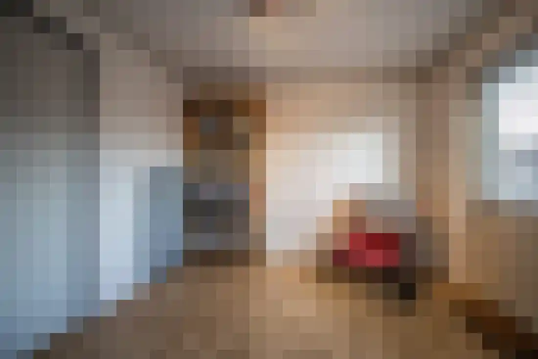 Anjelierstraat 10 Wierden thumbnail 22