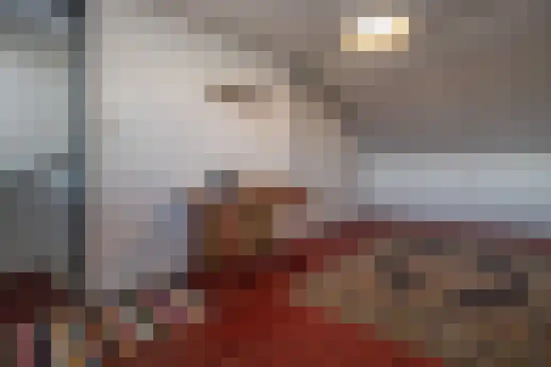 Anjelierstraat 10 Wierden thumbnail 27