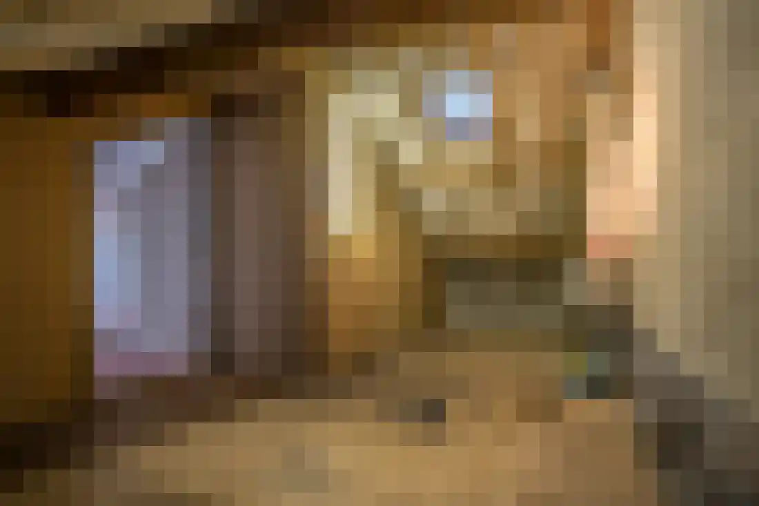 Anjelierstraat 10 Wierden thumbnail 30