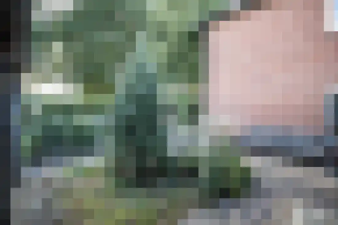 Anjelierstraat 10 Wierden thumbnail 34