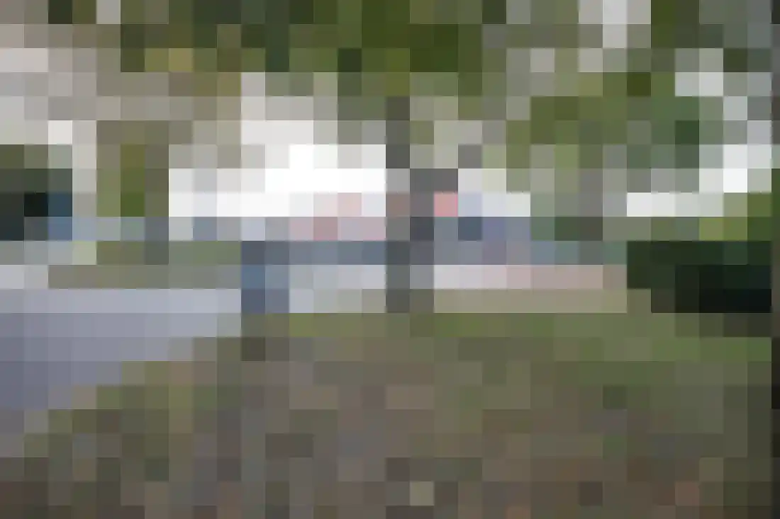 Anjelierstraat 10 Wierden thumbnail 37