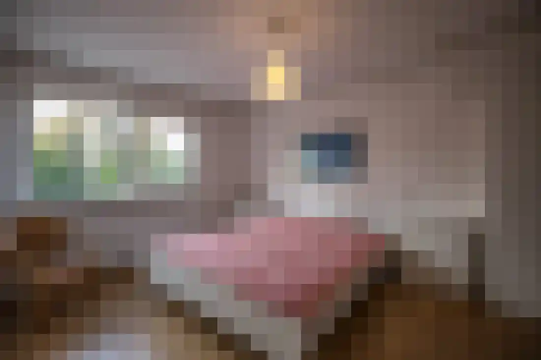 Anjelierstraat 10 Wierden thumbnail 4