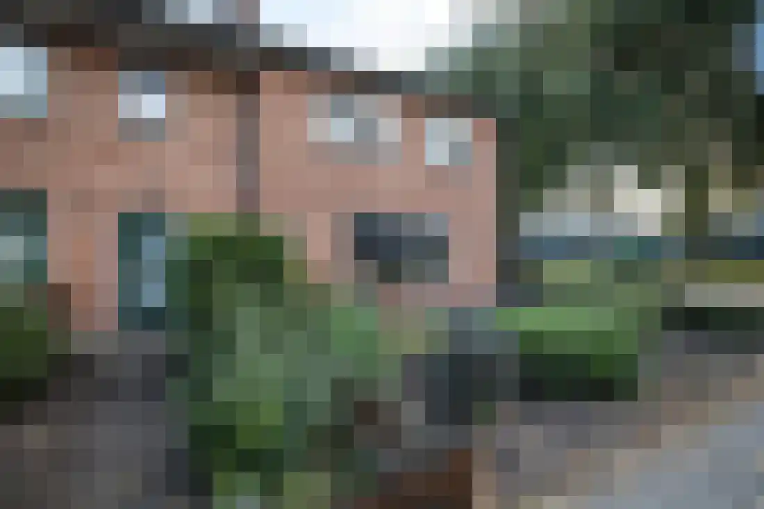 Anjelierstraat 10 Wierden thumbnail 7