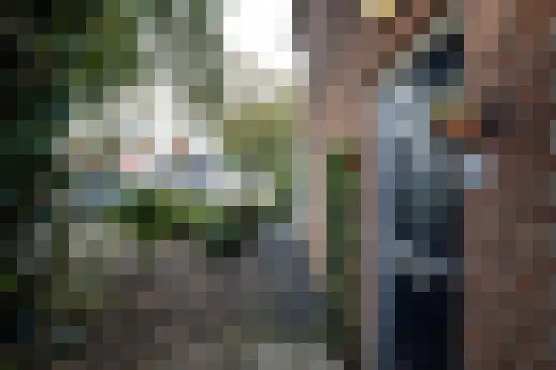 Anjelierstraat 10 Wierden thumbnail 8