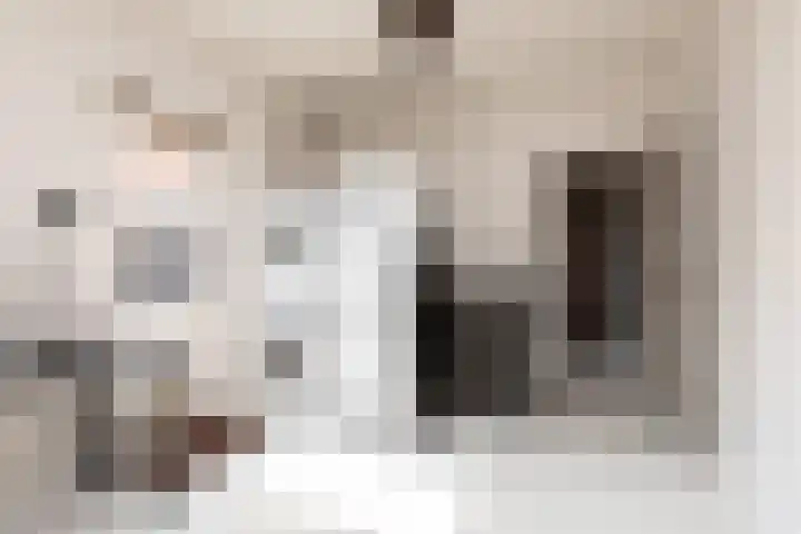 Anjelierstraat 12 Sneek thumbnail 13