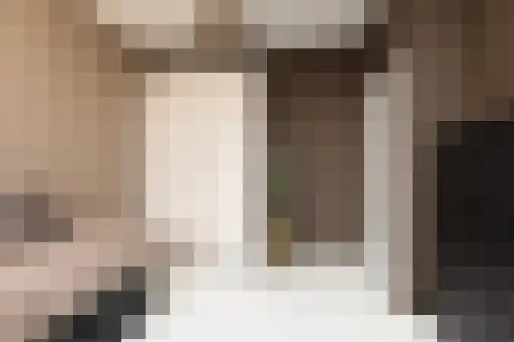 Anjelierstraat 12 Sneek thumbnail 20