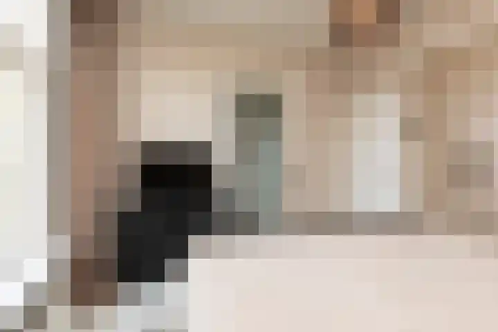 Anjelierstraat 12 Sneek thumbnail 23