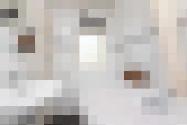 Anjelierstraat 12 Sneek thumbnail 24