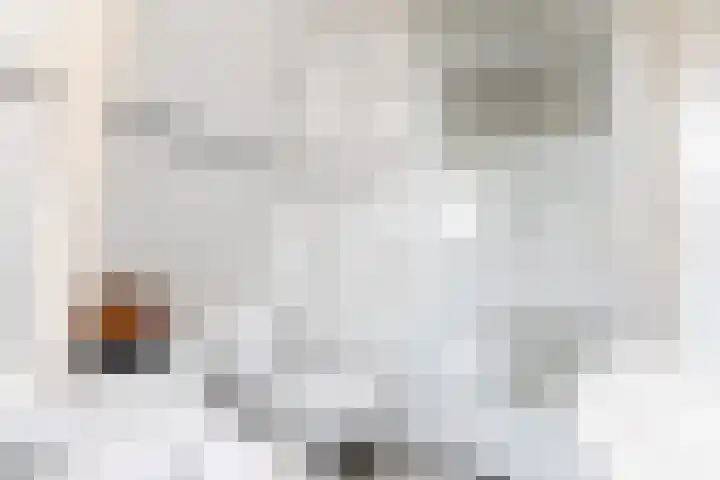 Anjelierstraat 12 Sneek thumbnail 25