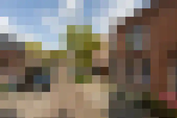 Anjelierstraat 12 Sneek thumbnail 36